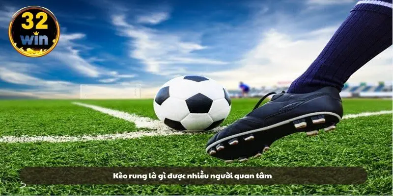 Kèo rung là gì được nhiều người quan tâm Kèo rung là gì được nhiều người quan tâm